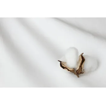 Matějovský Bílé BAVLNĚNÝ MIKROPLYŠ PREMIUM Bavlněný mikroplyš 120/200 - 140/200/30