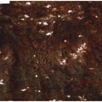 Zahraniční hudba CD The Camatta: Aula 2008