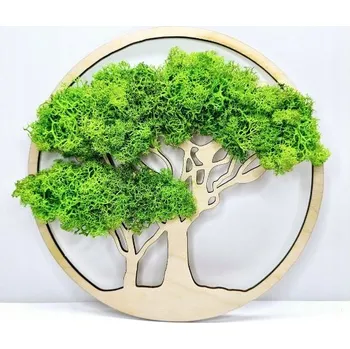 Obraz Malý bonsaj s mechem