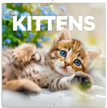 Kalendář NOTIQUE Poznámkový kalendář Koťata 2026, 30 x 30 cm