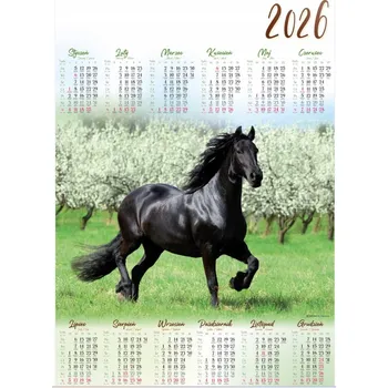 Kalendář Jednoplošný plakátový kalendář 2026 Plakát A1 Mustang Kůň PL12