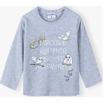 TRIKO HARRY POTTER em 304 šedé Velikost: 5