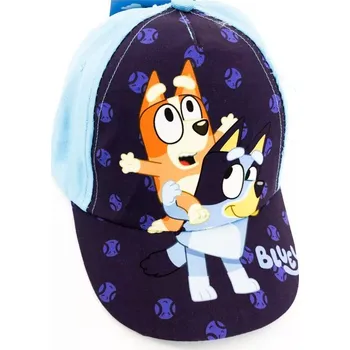 Kšiltovka KŠILTOVKA BLUYE NI nw1188 sv. modrá Velikost: 52