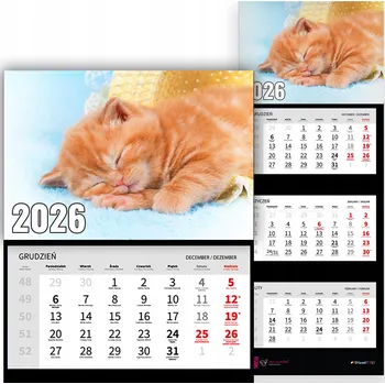 Kalendář Třídílný kalendář na rok 2026 nástěnný kancelářský Krajina Zrzavé kotě Vz