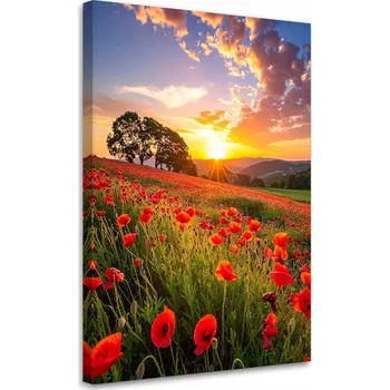 Obraz Obraz do obýváku, ložnice, kanceláře, Makové pole, květiny, západ slunce 60x90