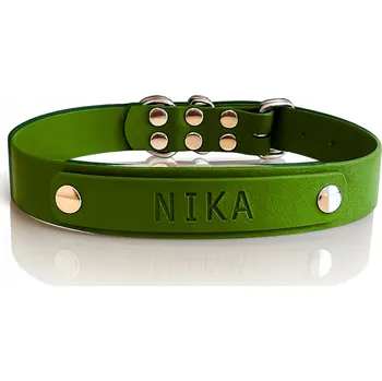 Obojek pro psa Obojek pro Malého / Velkého Psa s Gravírovaným Jménem, Vodotěsný Zelený XXS