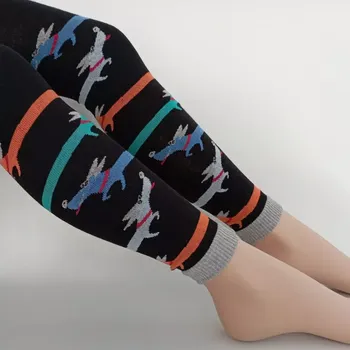 Dámské punčochy Dětské punčochové legíny Jezevčík - 92-98 / černá