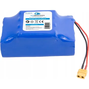 BATERIE PRO HOVERBOARD DESKU 36V 5,8Ah (0249)