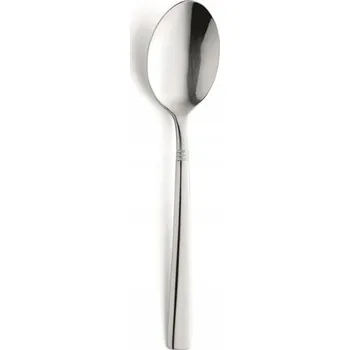Příbor Dezertní lžička lesklá Amefa Palmon 1 ks