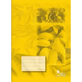 Sešit Notes Bohemia Školní sešit 523 A5 linka 20l economy