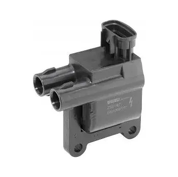 Zapalovací cívka Zapalovací cívka BorgWarner ZSE197