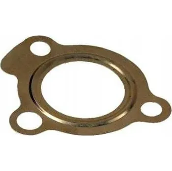 Těsnění motoru FA1 425-509 Těsnicí kroužek, hadice ventilu EGR