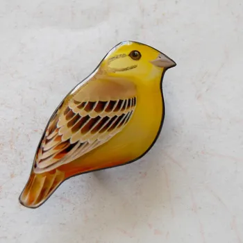 Brož Petra Truszyková Brož - strnad