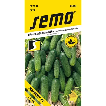 Zahrada Semo Okurka setá nakládačka - Harriet F1 (hustoostná, partenokarpická)
