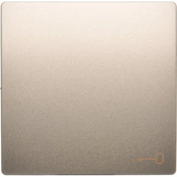 vypínač Kryt 1 násobný s piktogramem “klíč”, k ovladačům, spínačům a tlačítkům, Simon Basic BMKWK1/29, saténová