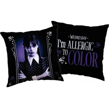 Povlak na dekorativní polštářek POVLAK NA POLŠTÁŘ WEDNESDAY Ca 24CC030 Velikost: uni