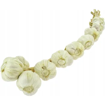 Cibulovina ČESNEK JARNÍ JARY VĚNEC 10 KS - POLSKÝ