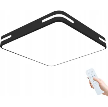 Čtvercová Stropní Svítidlo StandHeiz černá