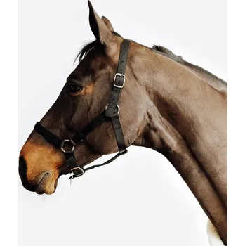 Vybavení pro koně FOUGANZA Ohlávka Schooling pro koně a poníky XFS ČERNÁ