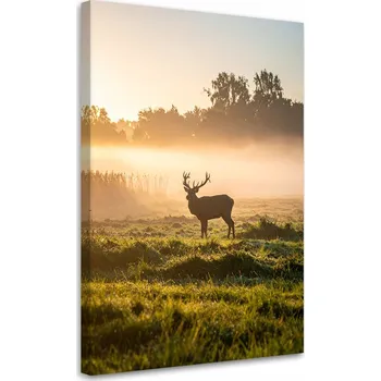 Obraz Obraz do obýváku ložnice kanceláře Krajina, Jelen v říji v mlze 40x60