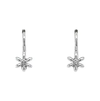 Náušnice Náušnice se Zirkony z Bílého Zlata 7121069