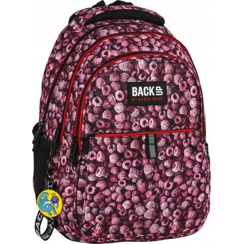 Školní batoh Školní batoh Derform s více přihrádkami, červený, 1 l