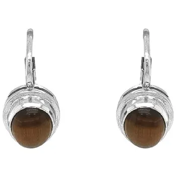 Náušnice Zlaté Náušnice s Tygřím Okem 7121145