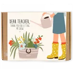 Blossombs Semínkové bomby - Dárková sada menší pro učitele - Květiny (7 ks)