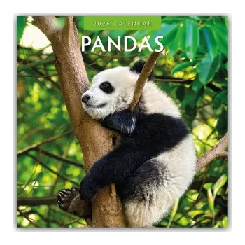 Diář Pandas - Pandabären 2026 - 16-Monatskalender (EN)
