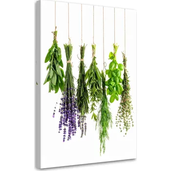 Obraz Obraz do kuchyně jídelny, Visící bylinky 80x120