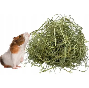 Krmivo pro hlodavce Dobré čerstvé seno pro domácí morče 10 kg krmivo z trav pokos