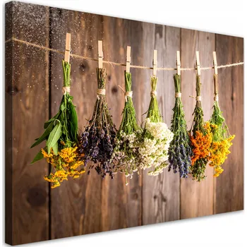 Obraz Obraz do kuchyně jídelny baru, Visící sušené bylinky koření 60x40