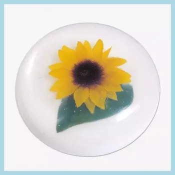 Forma na odlévání Plastová forma Kruhové mýdlo (Forma na výrobu mýdel)