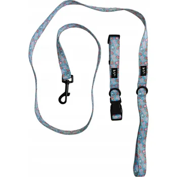 Vodítko pro psa Vodítko sada (obojek + vodítko) Ajka, materiál, 1,5 m