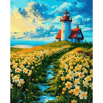 Malování podle čísel iPicasso 40x50 cm na rámu