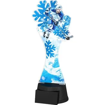 Poháry Bauer Akrylátová trofej ACUTCM151 | Hokej