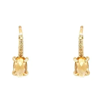 Náušnice Zlaté Náušnice se Zirkony 7120740