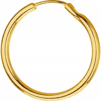 Náušnice Zlatá Náušnice Kruh Malý Kroužek pro Ženu Muže Stříbrná 925 12 mm