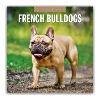 Diář French Bulldogs - Französische Bulldoggen 2026 - 16-Monatskalender (EN)