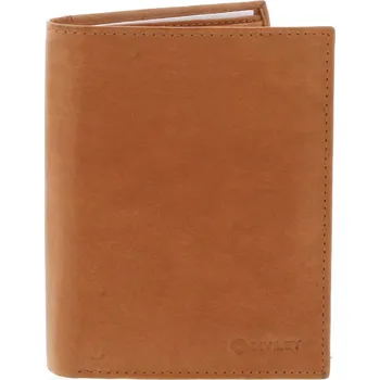 Peněženka Pánská stylová peněženka ROGER, koňaková matná
