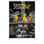 Colour Art 2026 - nástěnný kalendář