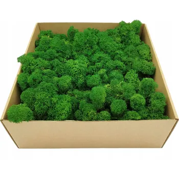 Obraz Mech Chrobotek Alpský Premium 500g