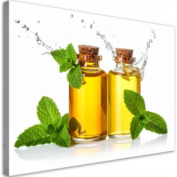 Obraz Obraz do kuchyně, jídelny, restaurace, Olivový olej, olivy, bylinky 100x70