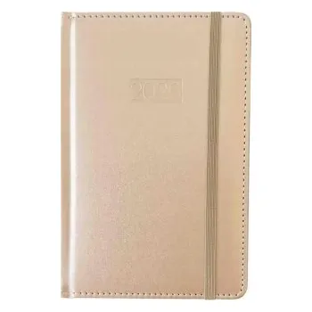 Diář AVANTI MODERNÍ STYLOVÝ KNIŽNÍ KALENDÁŘ A5 DENNÍ METALICKÝ 2026