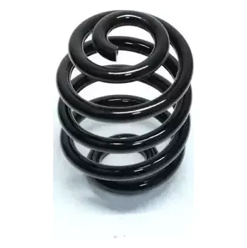 QWP Pružina podvozku QWP WCS100