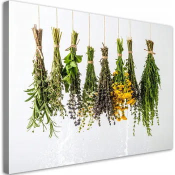 Obraz Obraz do kuchyně, jídelny, restaurace, Sušené Bylinky koření 60x40