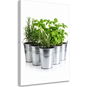 Obraz Obraz do kuchyně jídelny, Bylinky koření rostliny 80x120