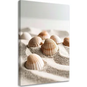 Obraz Obraz do obýváku, kuchyně, kanceláře, Mušle pláž příroda boho 70x100
