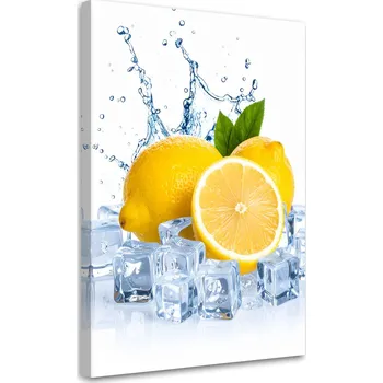 Obraz Obraz do kuchyně jídelny, Citrony, ovoce v ledu 60x90
