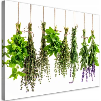 Obraz Obraz do kuchyně jídelny, Bylinky, koření, rostliny 100x70